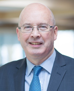 Professor Malcolm MacLeod BSc, PhD, FRSA, FBPsS