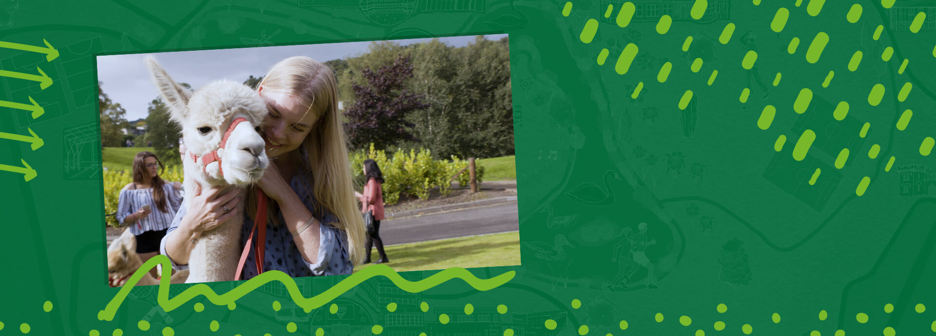 An image of a female student with an alpaca on a graphic, green background