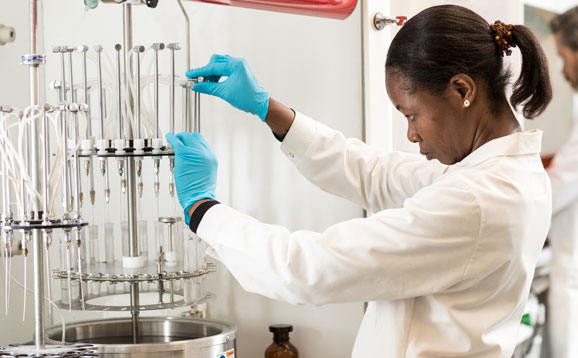 A person in a lab coat performing an experiment