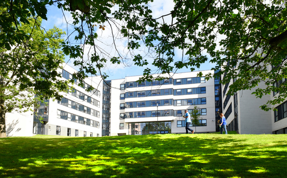 Beech Court accommodation with trees