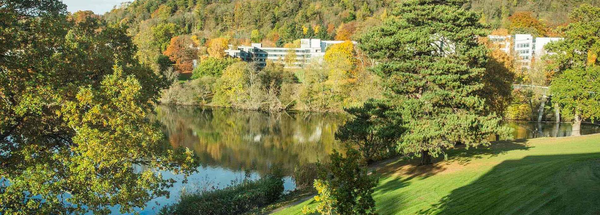 Airthrey Loch in autumn on a bright day looking north across the loch towards the accommodation buildings nestled amoung the trees as their leaves turn yellow and orangey-brown