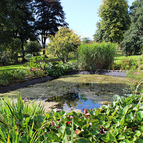 Pond and trees in the Garden of Time