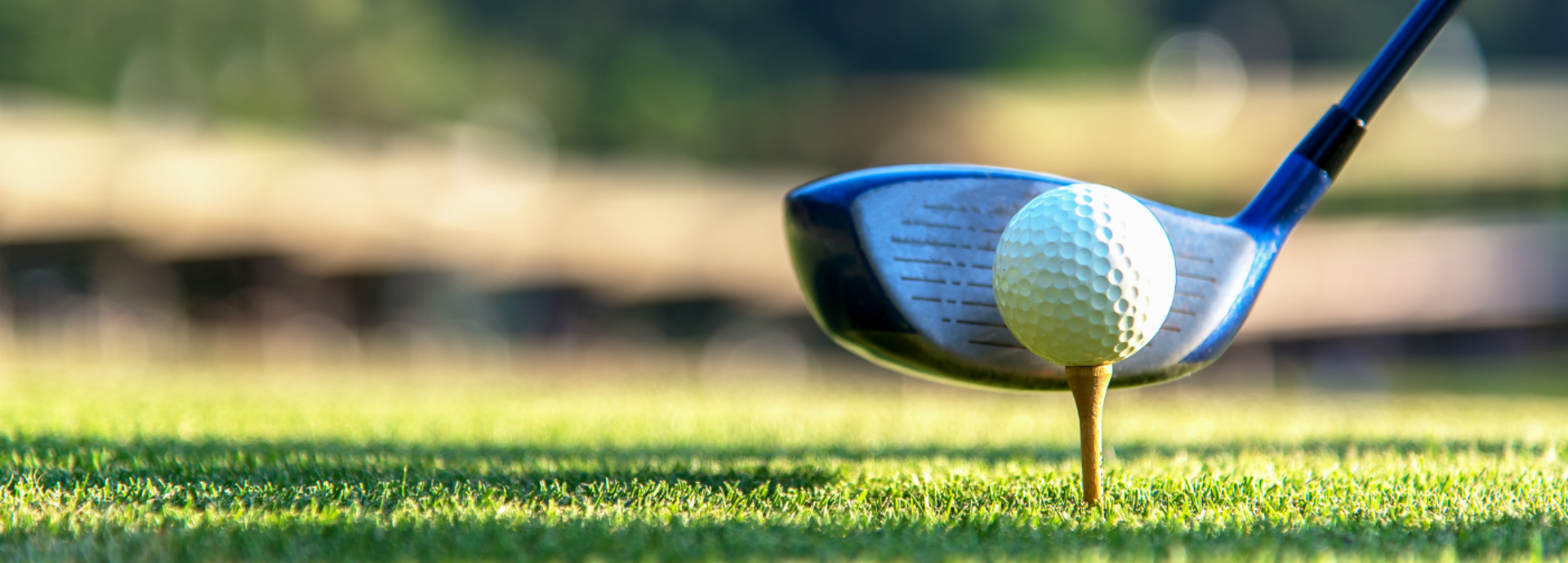 An image of a golf tee and club