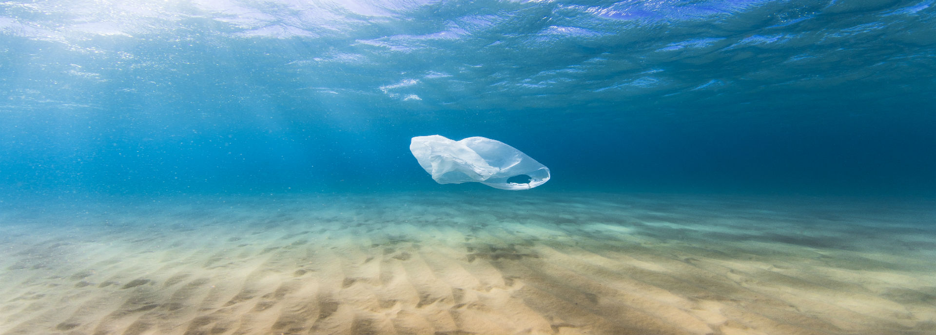 Plastic bag in the ocean