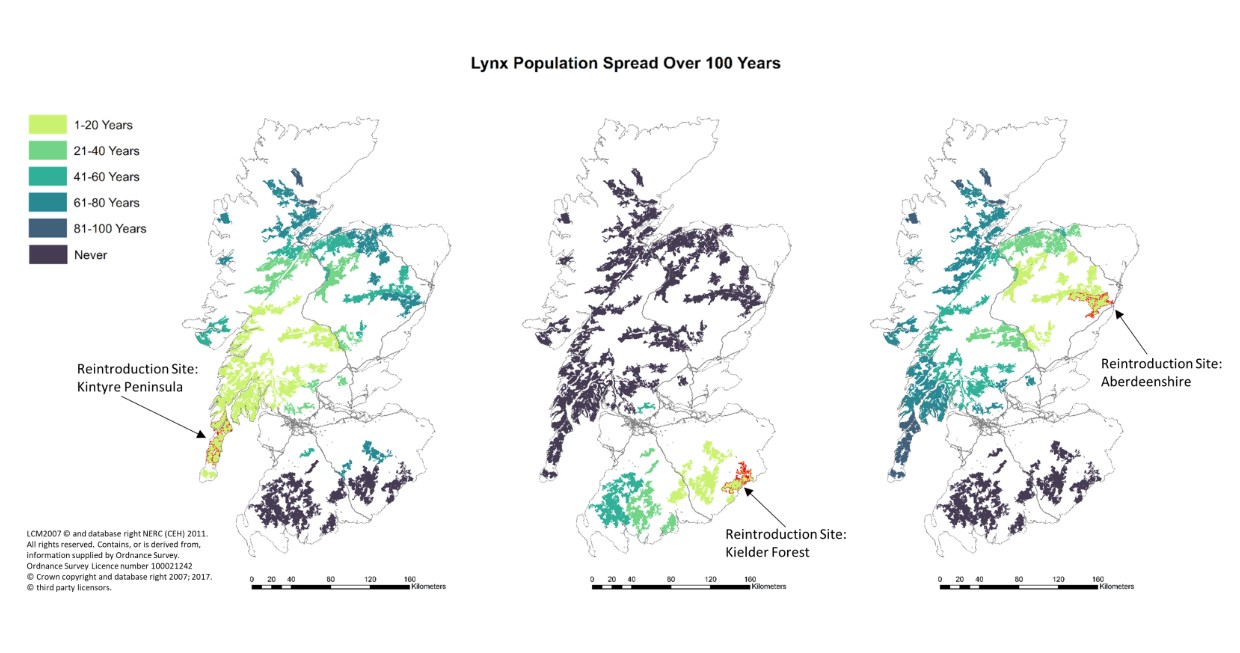 Lynx reintroduction map