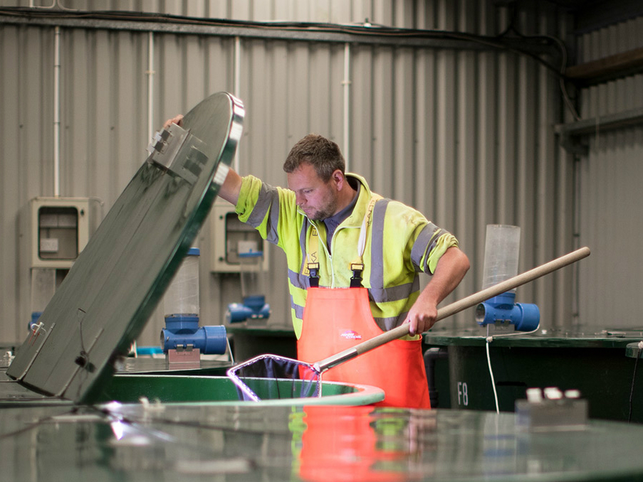 Inside an aquaculture facility