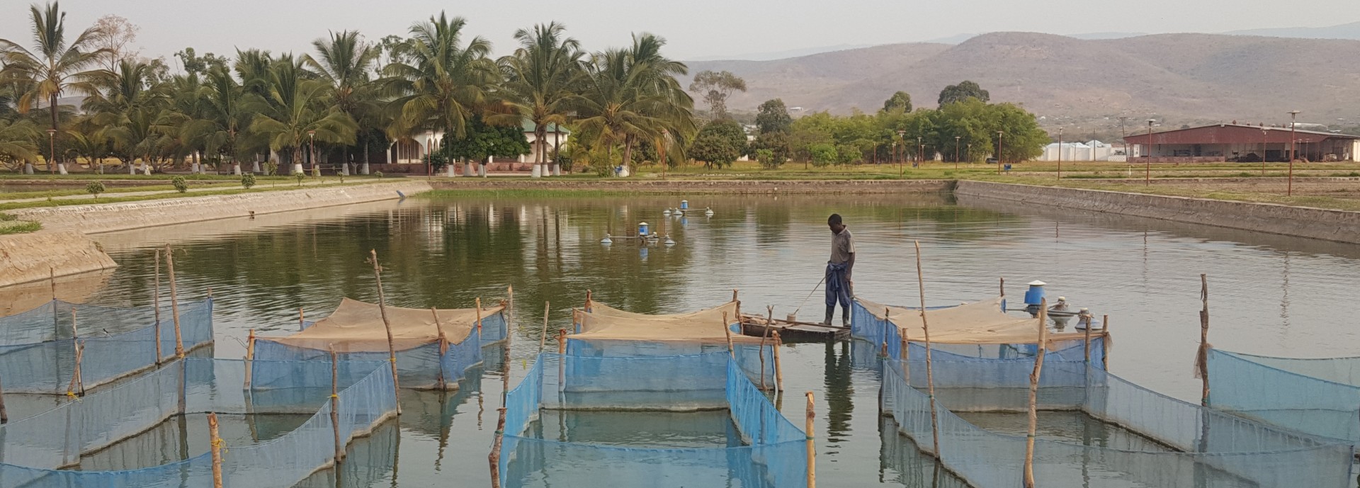 aquaculture