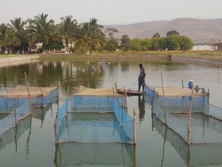 aquaculture