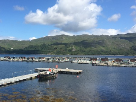 Salmon farm in the Highlands