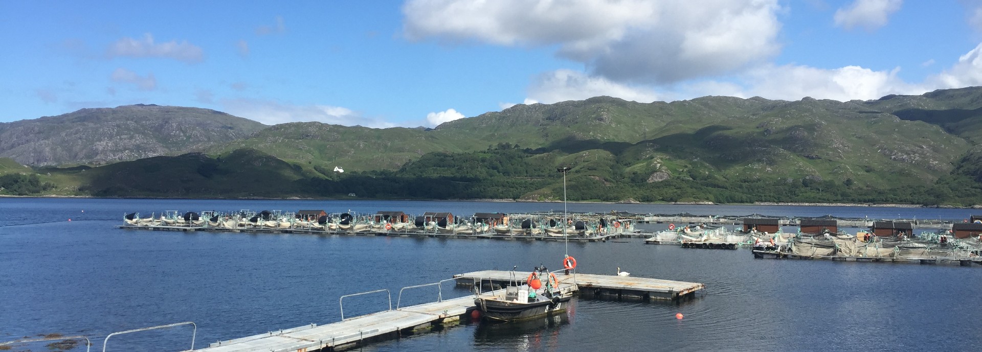 Salmon farm in the Highlands