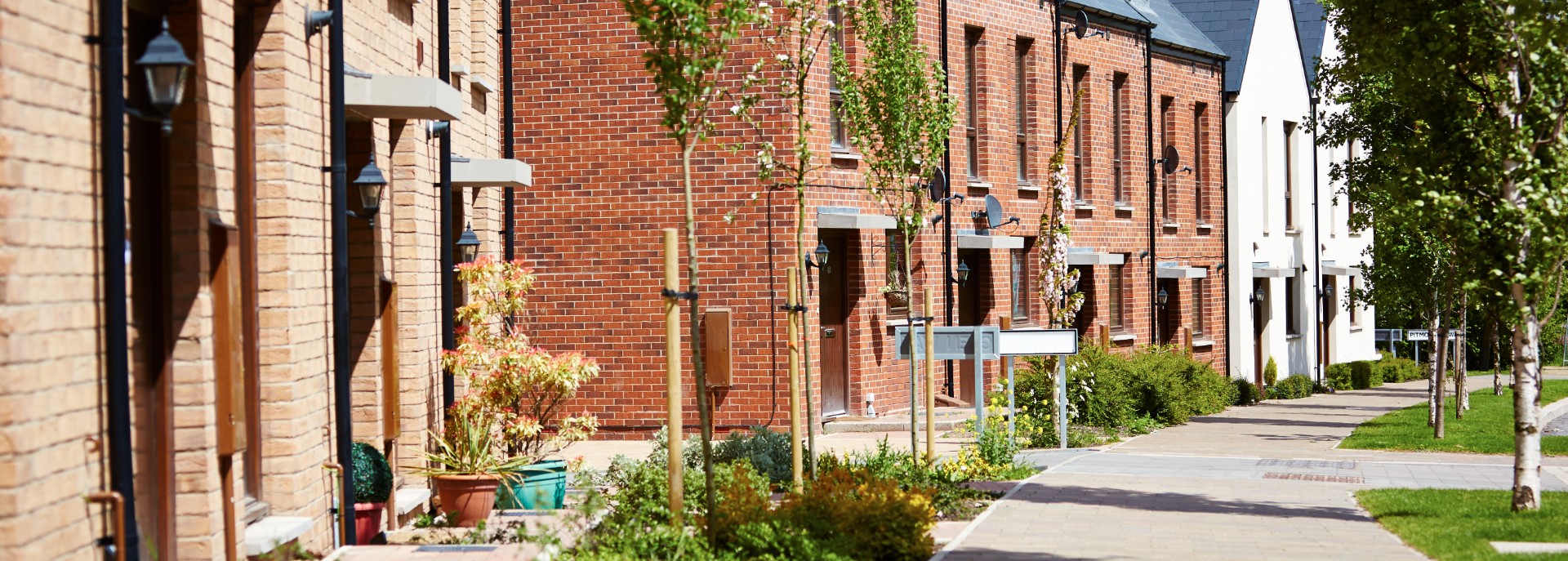 Row of modern, terraced homes with a tree-lined walk way in front