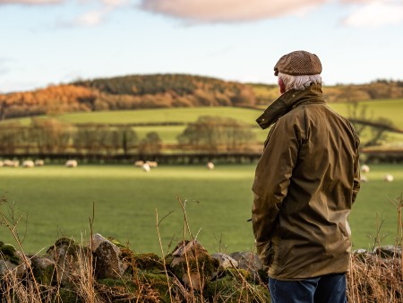 A farmer gazes out towards a field of sheep.