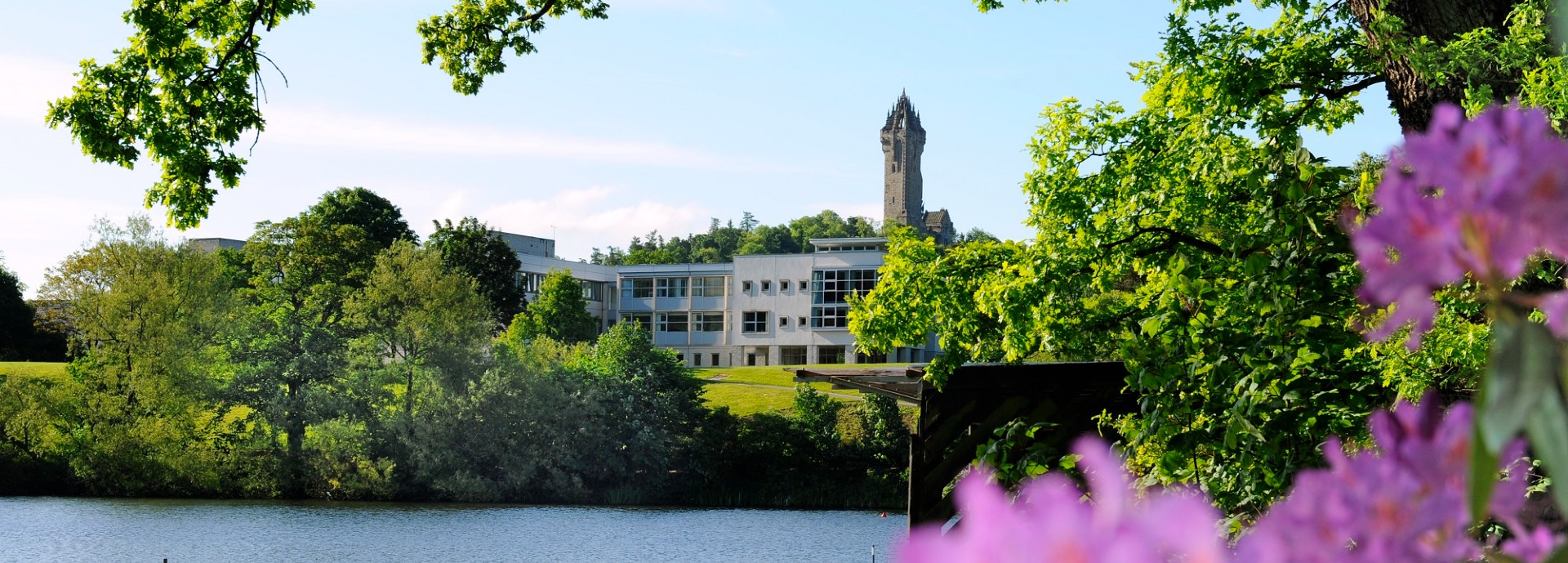 Campus loch in flower