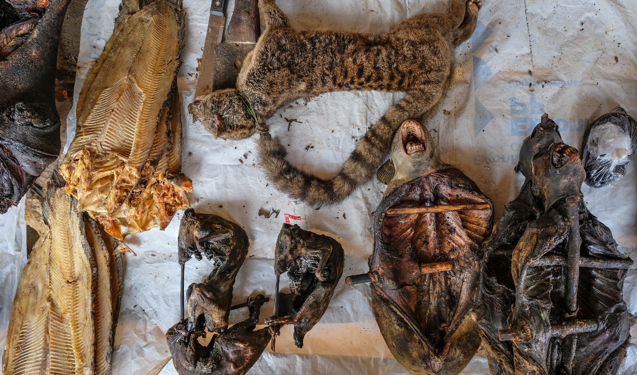 Bushmeat for sale in market