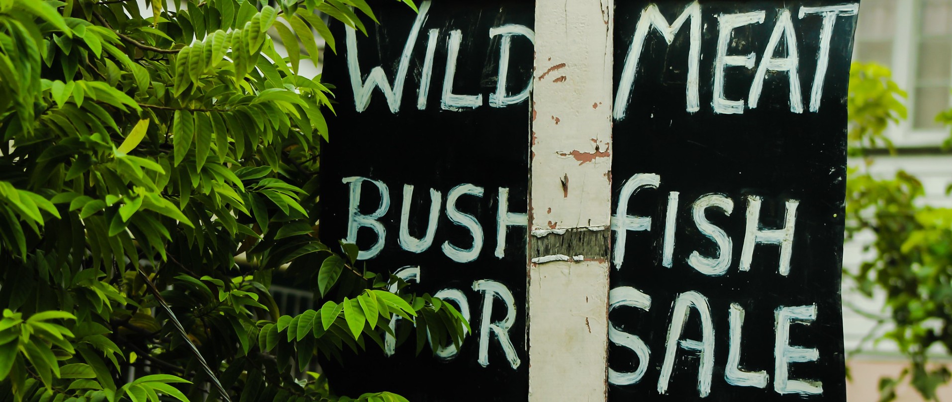 Wild meat for sale sign