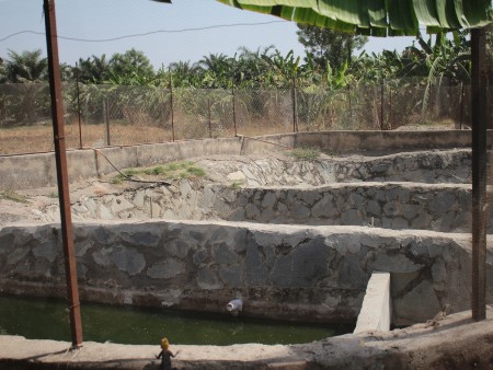 Large concrete tanks