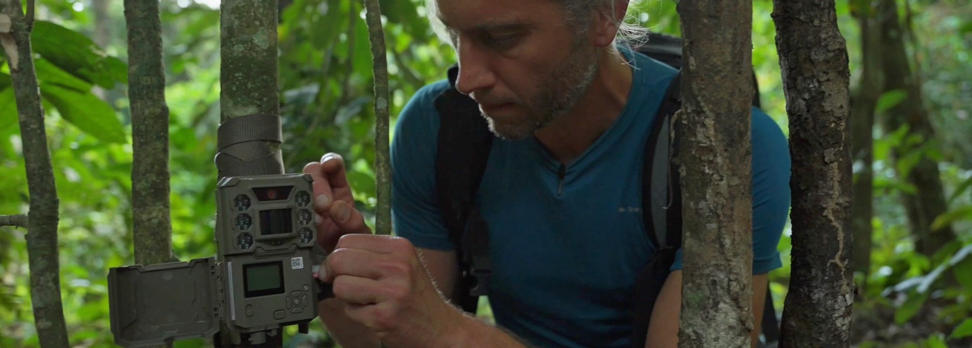 Tim in a forest attaching a camera to a tree