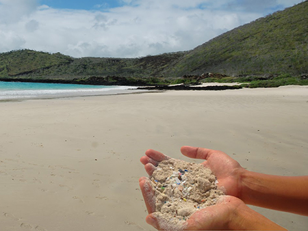 credit: Photo Trevor Platt, copyright Galapagos Conservation Trust