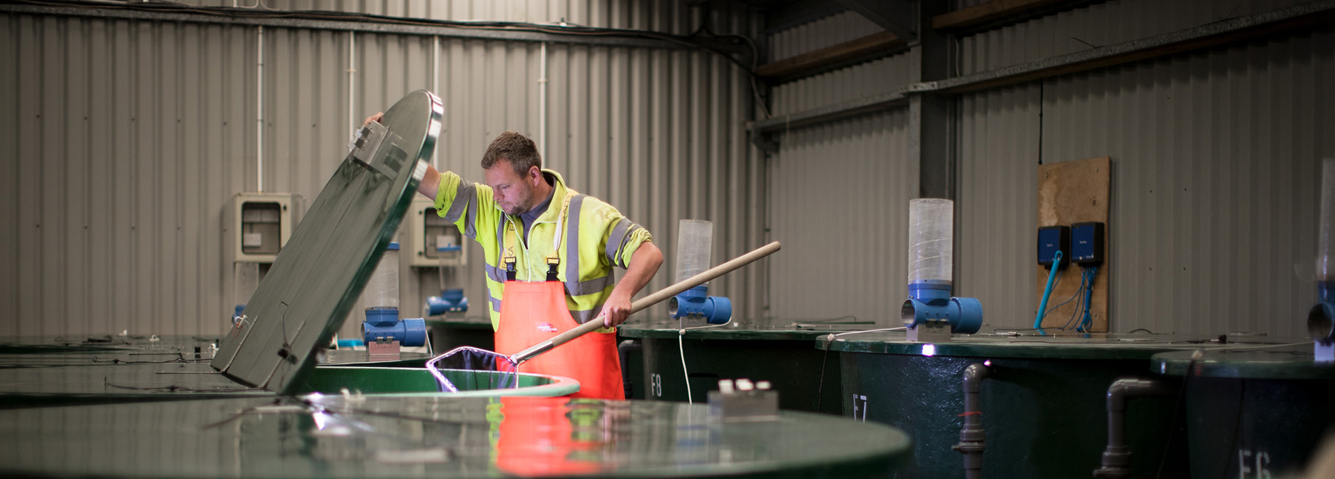 Man working at tanks in aquaculture facility