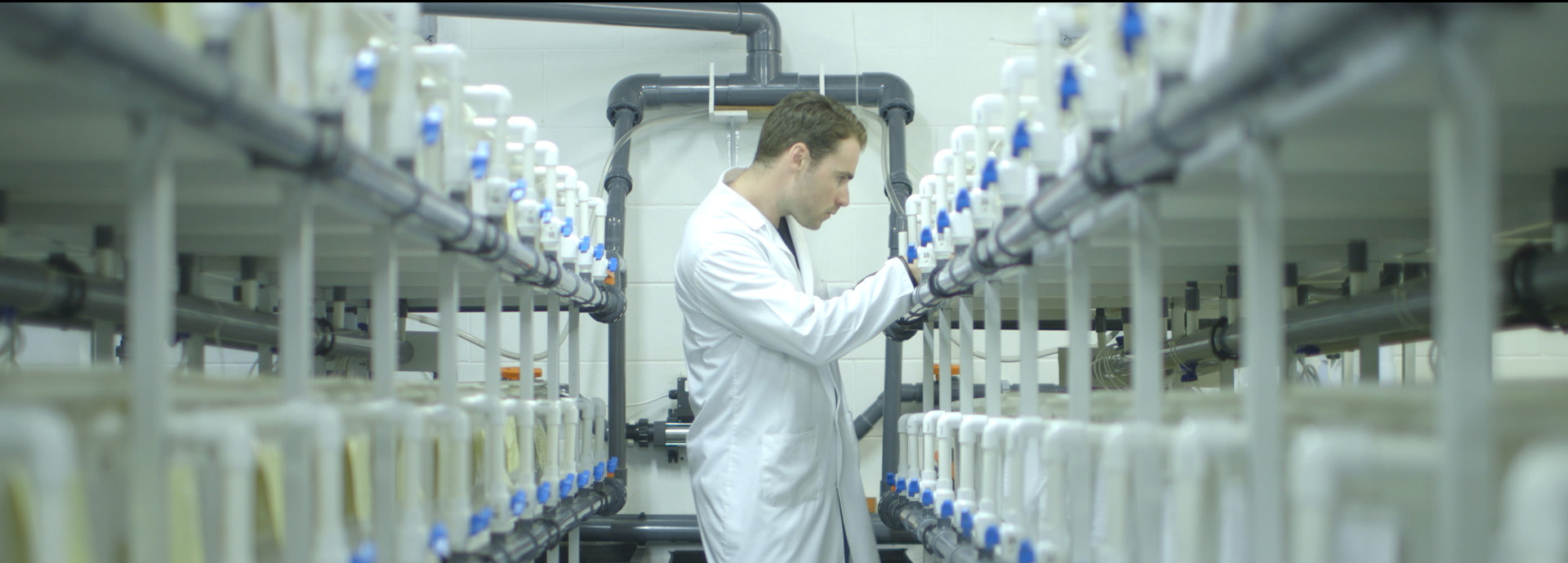 Aquaculture researcher at work