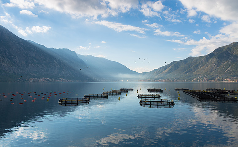 Fish farm in loch