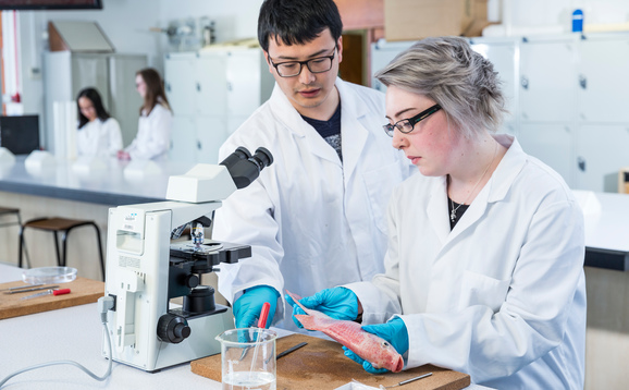 male and female scientist with fish and microscope in aquaculture lab