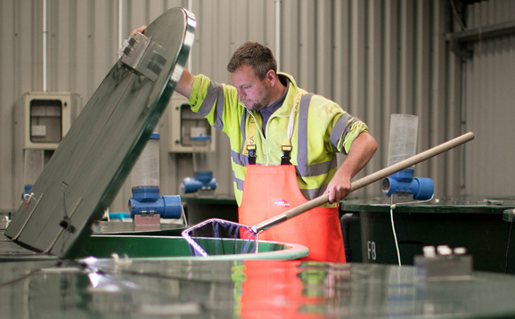 aquaculture researcher