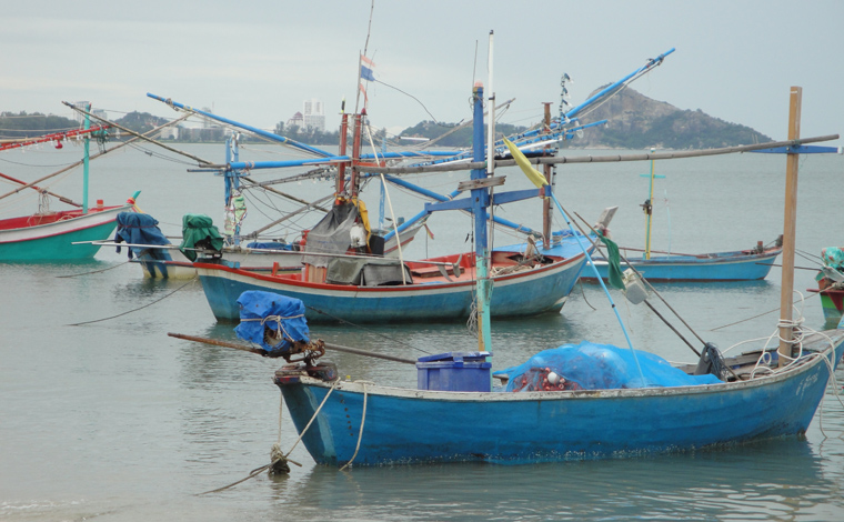 fishing boats