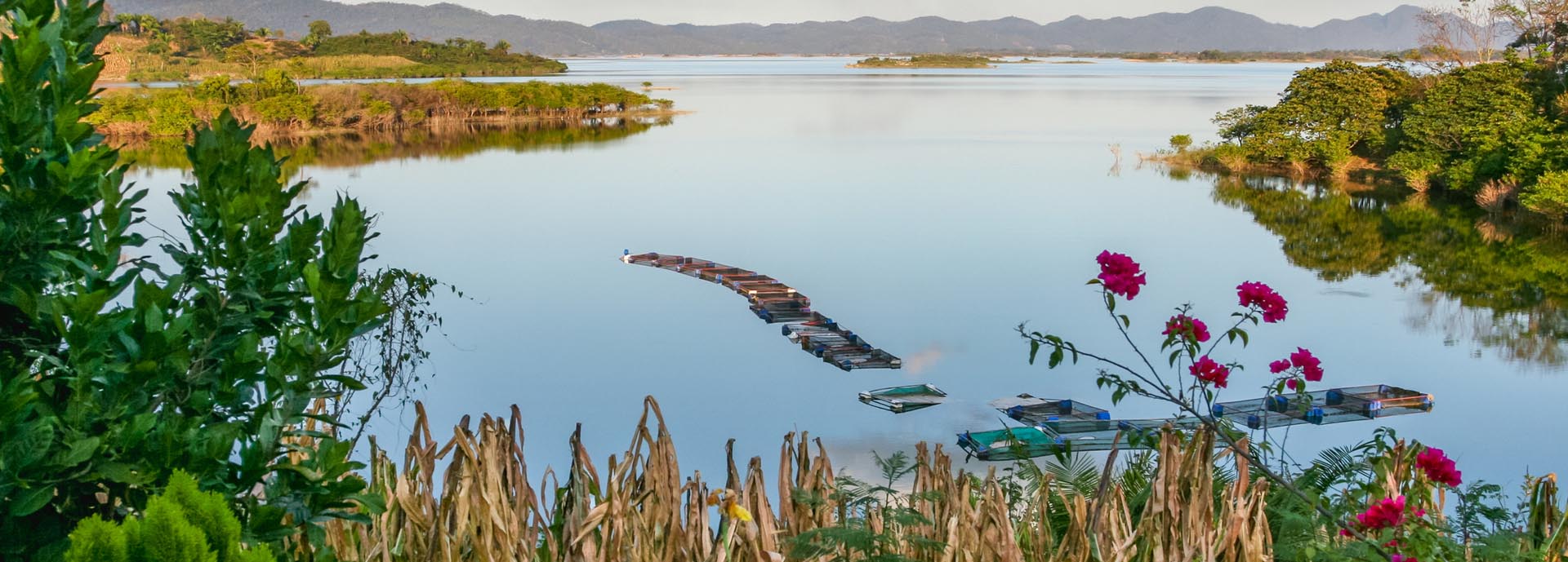 lake with fish farm in Mexico