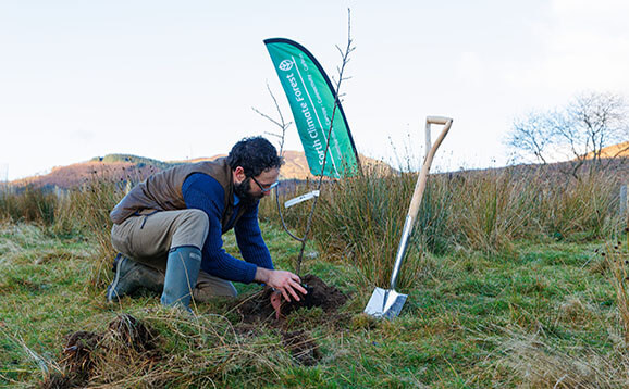 Man planting tree sapling in field